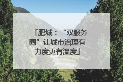 肥城：“双服务圈”让城市治理有力度更有温度
