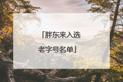 胖东来入选老字号名单