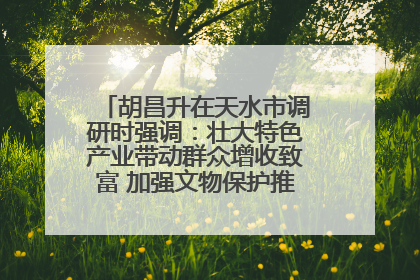 胡昌升在天水市调研时强调：壮大特色产业带动群众增收致富 加强文物保护推动文化创新发展