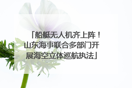 船艇无人机齐上阵！山东海事联合多部门开展海空立体巡航执法
