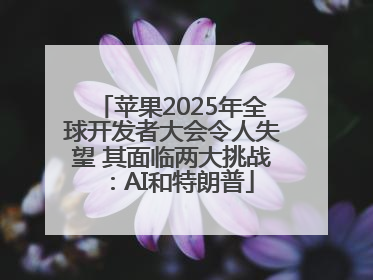 苹果2025年全球开发者大会令人失望 其面临两大挑战：AI和特朗普