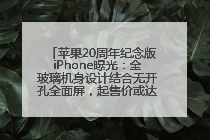 苹果20周年纪念版iPhone曝光：全玻璃机身设计结合无开孔全面屏，起售价或达1.45万人民币