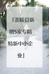 茶陵县新增5家专精特新中小企业