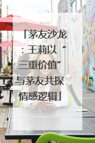 茅友沙龙：王莉以“三重价值”与茅友共探情感逻辑