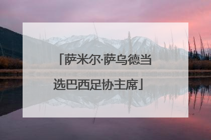 萨米尔·萨乌德当选巴西足协主席