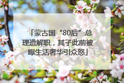 蒙古国“80后”总理遭解职，其子此前被曝生活奢华引众怒