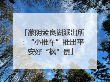 蒙阴孟良崮派出所：“小推车”推出平安好“枫”景