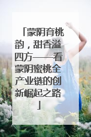 蒙阴育桃韵，甜香溢四方——看蒙阴蜜桃全产业链的创新崛起之路