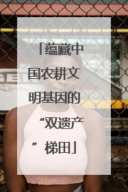 蕴藏中国农耕文明基因的“双遗产”梯田