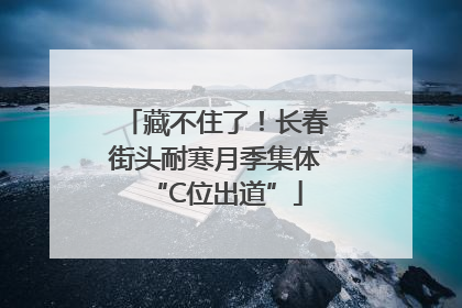 藏不住了！长春街头耐寒月季集体“C位出道”