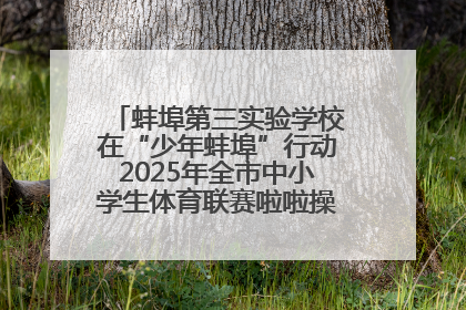 蚌埠第三实验学校在“少年蚌埠”行动2025年全市中小学生体育联赛啦啦操比赛中获佳绩