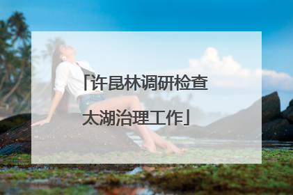 许昆林调研检查太湖治理工作