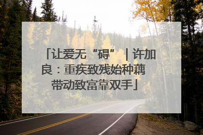 让爱无“碍”｜许加良：重疾致残始种藕 带动致富靠双手