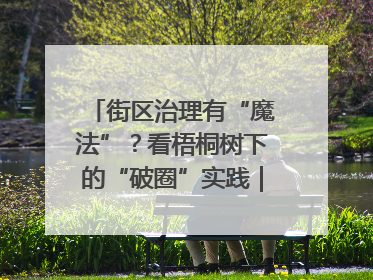 街区治理有“魔法”？看梧桐树下的“破圈”实践｜我在街区当书记