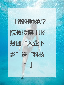 衡阳师范学院教授博士服务团“入企下乡”送“科技”