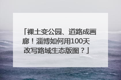 裸土变公园、道路成画廊！淄博如何用100天改写路域生态版图？