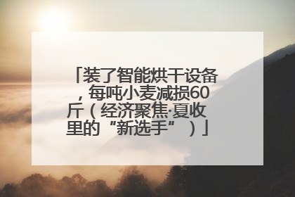 装了智能烘干设备，每吨小麦减损60斤（经济聚焦·夏收里的“新选手”）
