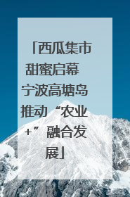 西瓜集市甜蜜启幕 宁波高塘岛推动“农业+”融合发展