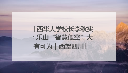 西华大学校长李秋实：乐山“智慧低空”大有可为｜西望四川