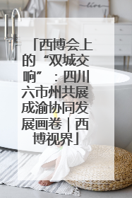 西博会上的“双城交响”：四川六市州共展成渝协同发展画卷｜西博视界