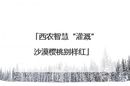 西农智慧“灌溉” 沙漠樱桃别样红
