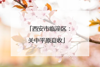 西安市临潼区：关中平原夏收
