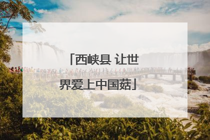 西峡县 让世界爱上中国菇