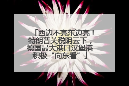 西边不亮东边亮！特朗普关税阴云下，德国最大港口汉堡港积极“向东看”