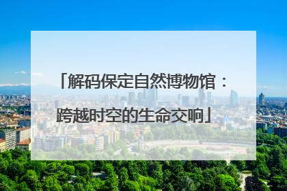 解码保定自然博物馆：跨越时空的生命交响