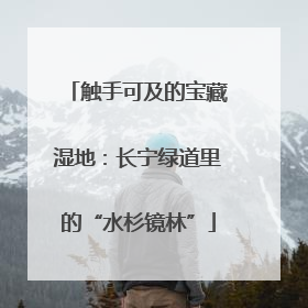 触手可及的宝藏湿地：长宁绿道里的“水杉镜林”