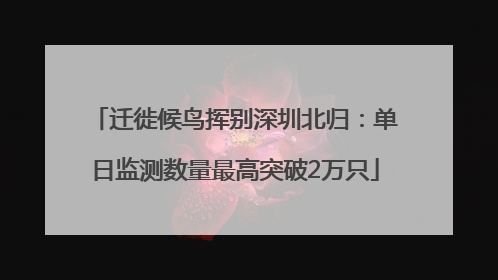 迁徙候鸟挥别深圳北归：单日监测数量最高突破2万只