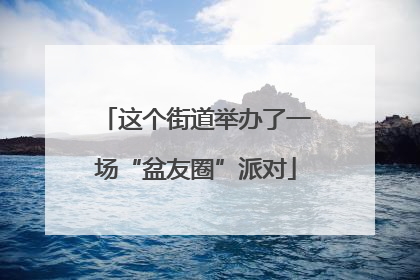 这个街道举办了一场“盆友圈”派对