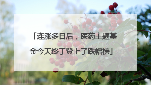 连涨多日后，医药主题基金今天终于登上了跌幅榜