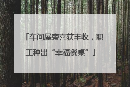 车间屋旁喜获丰收，职工种出“幸福餐桌”