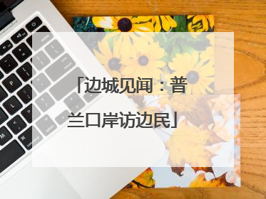 边城见闻：普兰口岸访边民