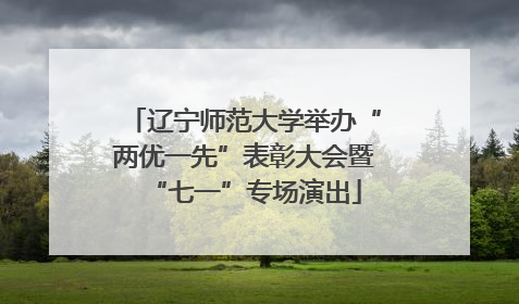 辽宁师范大学举办“两优一先”表彰大会暨“七一”专场演出