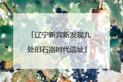 辽宁新宾新发现九处旧石器时代遗址