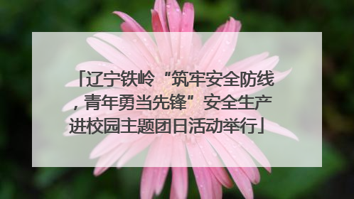 辽宁铁岭“筑牢安全防线，青年勇当先锋”安全生产进校园主题团日活动举行