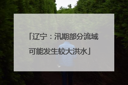 辽宁：汛期部分流域可能发生较大洪水