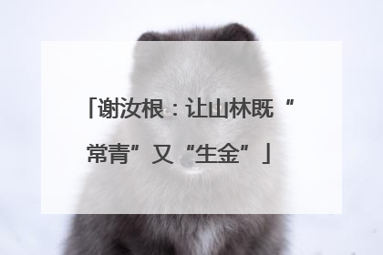 谢汝根：让山林既“常青”又“生金”