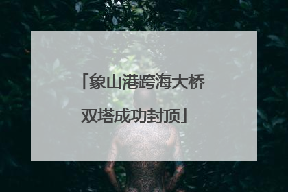 象山港跨海大桥双塔成功封顶