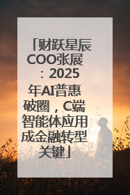 财跃星辰COO张展：2025年AI普惠破圈，C端智能体应用成金融转型关键