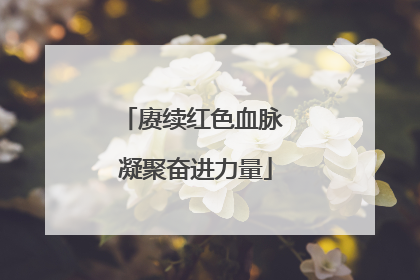 赓续红色血脉 凝聚奋进力量