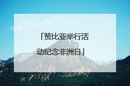 赞比亚举行活动纪念非洲日