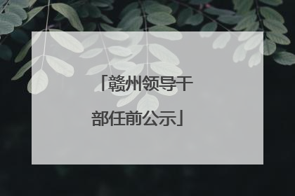赣州领导干部任前公示