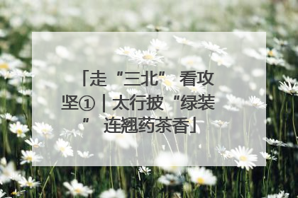 走“三北” 看攻坚①｜太行披“绿装” 连翘药茶香