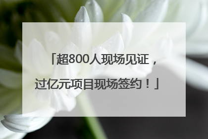 超800人现场见证，过亿元项目现场签约！