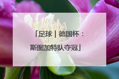 足球｜德国杯：斯图加特队夺冠