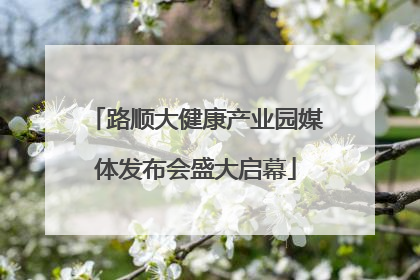 路顺大健康产业园媒体发布会盛大启幕