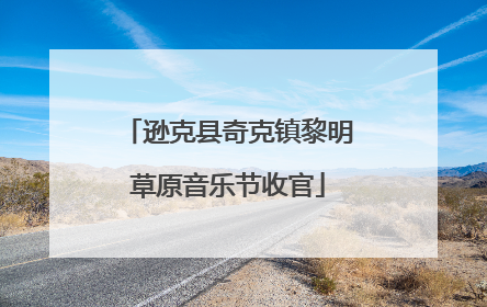 逊克县奇克镇黎明草原音乐节收官